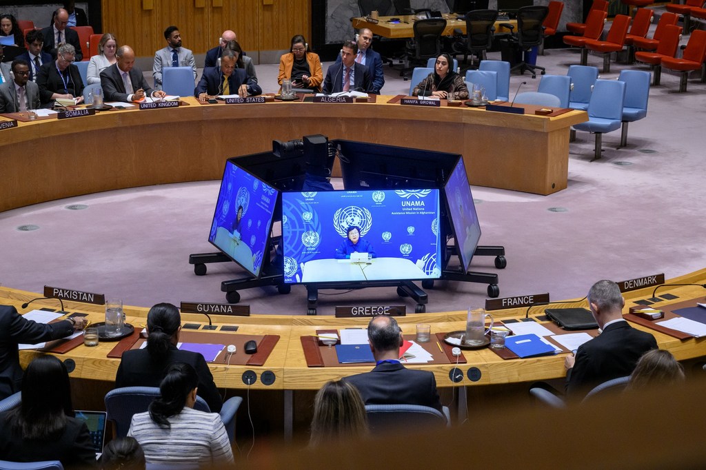 Специальный представитель Генерального секретаря по Афганистану Роза Отунбаева (на экране) проводит брифинг для Совета Безопасности.